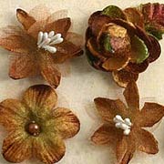 Cinnamon Spice Flower Mix