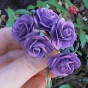 1 Inch Purple Paper Roses*