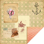 Maritime Coquille Scrapbook Paper