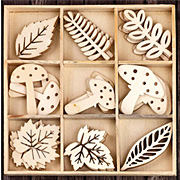 Wood Icons in a Box - Mushrooms and Leaves