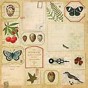 Flora & Fauna Botanical Ephemera Scrapbook Paper