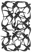 Black Dresden Swallows