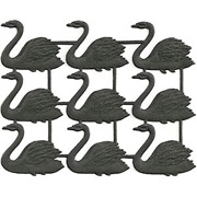 Black Dresden Swans