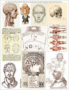 Phrenology