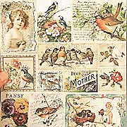Birds & Blossoms Scrap Sheet