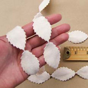 Cream Sueded Leaf Ribbon