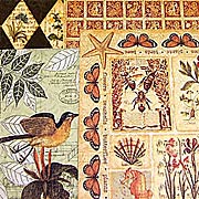 Botanicabella 5-Sheet Paper Set