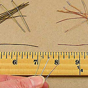 Antiqued 2 Inch Head Pins