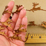 Puffy Satin Reindeer Ribbon