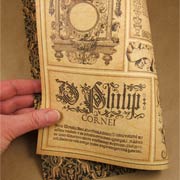 Renaissance Faire Masterpiece Scrapbook Paper