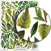 Green Leaves Collage Sheet