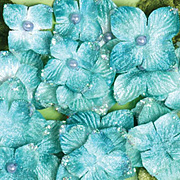 Velvet Hydrangeas - Aqua Blue