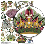 Land of the Butterfly Queen #1 Collage Sheet