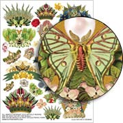 Natures Crowns Collage Sheet