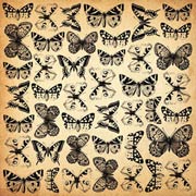 75 Cents Butterfly Spot Varnish Paper