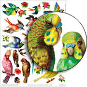 Parrots Collage Sheet