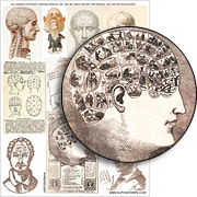 Phrenology Collage Sheet