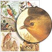 Robin Red Breast Collage Sheet