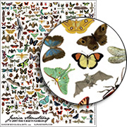 Shadow Box Bugs & Bats Collage Sheet