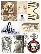 Skull & Bones