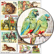 A Trip to the Zoo #1 - Parrots Collage Sheet