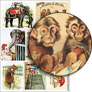 A Trip to the Zoo #2 - Monkeys Collage Sheet