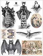 Victorian Bats