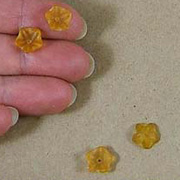 Amber Matte Glass Flower Bead Caps