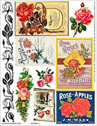 Roses #1 Collage Sheet