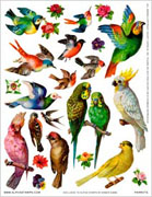 Parrots Collage Sheet