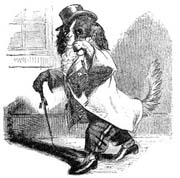 Dog with Monocle