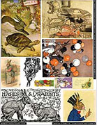 Aesops Fables�� Tortoises and Hares