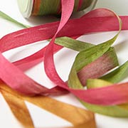 Autumn Variegated Silk Ribbon