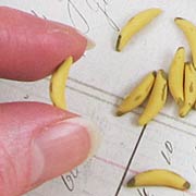 Bananas - Set of 12