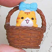 Cat in a Basket