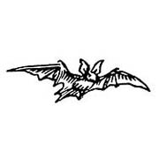 Bat