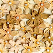 Darjeeling Mini Pearl Daisies - Shabby Beige