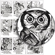 Bennett Animal ABCs - Just Birds