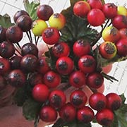 Mixed Matte Red, White & Burgundy Berry Sprigs