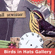 *Birds in Hats Swap Gallery