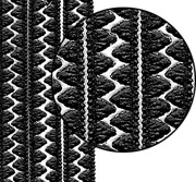 Black Zig Zag Dresden Borders