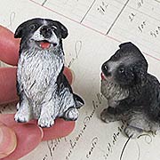 Sitting Border Collie Dog