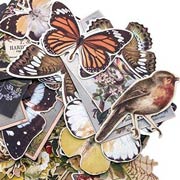 Tim Holtz Botanical Die Cuts