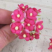 Small Bright Pink Mulberry Blossoms*