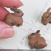 Miniature Brown Bunny Rabbit
