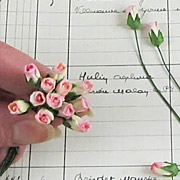 Mini Rose Buds - Pink Cream Variegated*