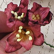 Mulberry Paper Lilies - Burgundy Mix*