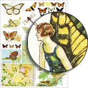 Butterflies Collage Sheet