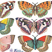 9 Classic Butterflies Stickers