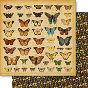 Olde Curiosity Shoppe Butterfly Specifics Scrapbook Paper
